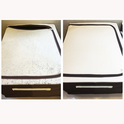 Anti-Mold Solution set