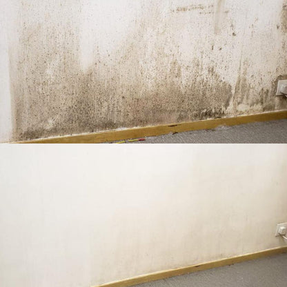Anti-Mold Solution set