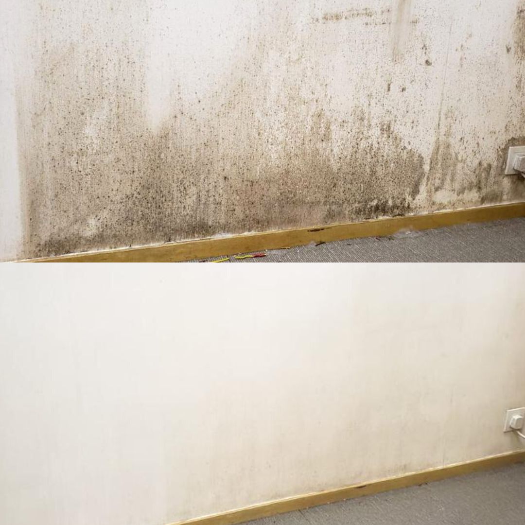 Anti-Mold Solution set