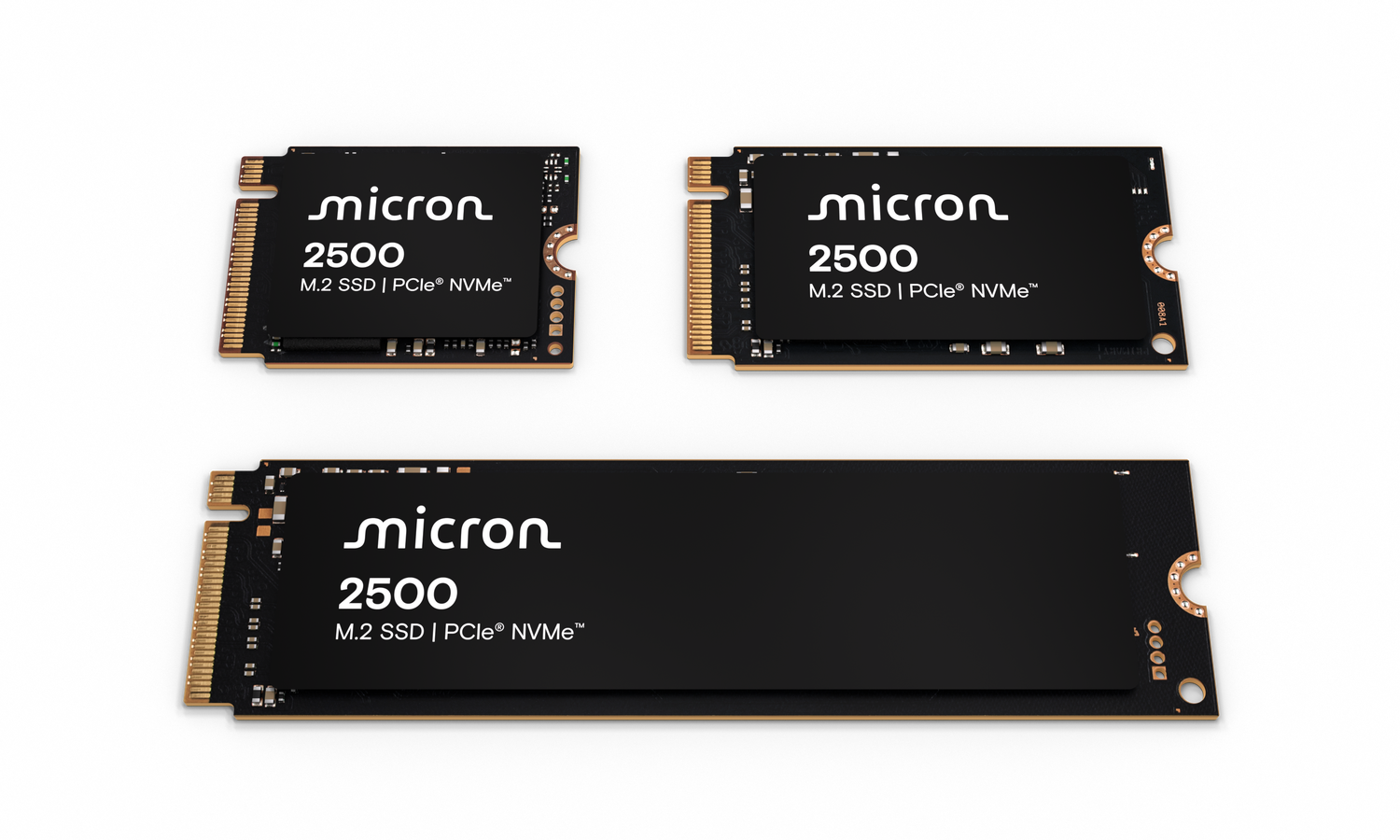 Micron 2500 M.2 SSD family shot